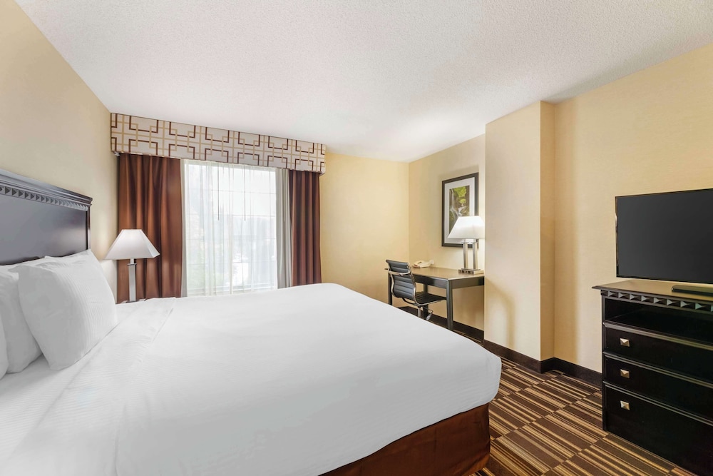 Standard, King Bed