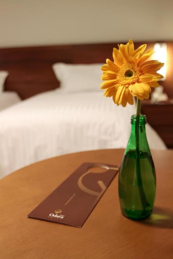 Hotel Gran Odara 17/50