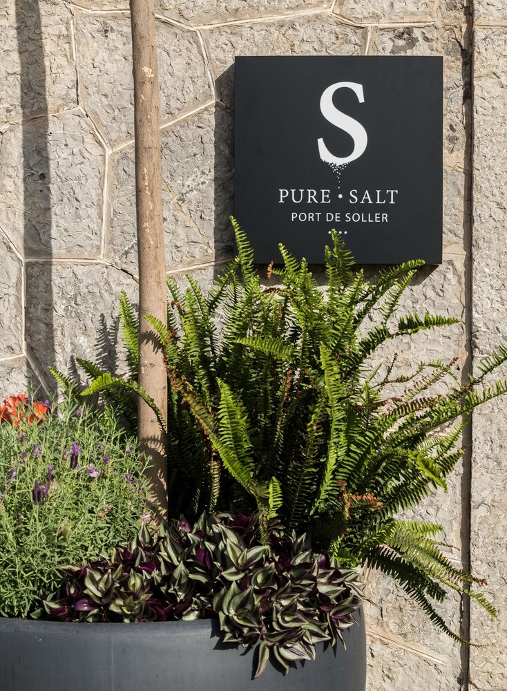 Pure Salt Port de Soller - Adults Only 5/87