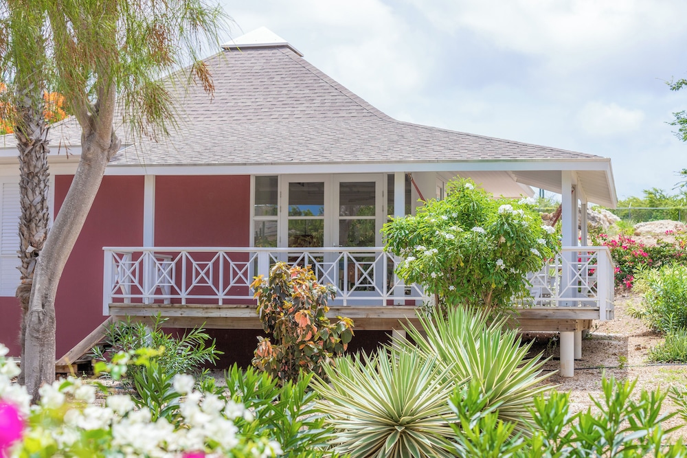 Chogogo Dive & Beach Resort Curacao 5/50