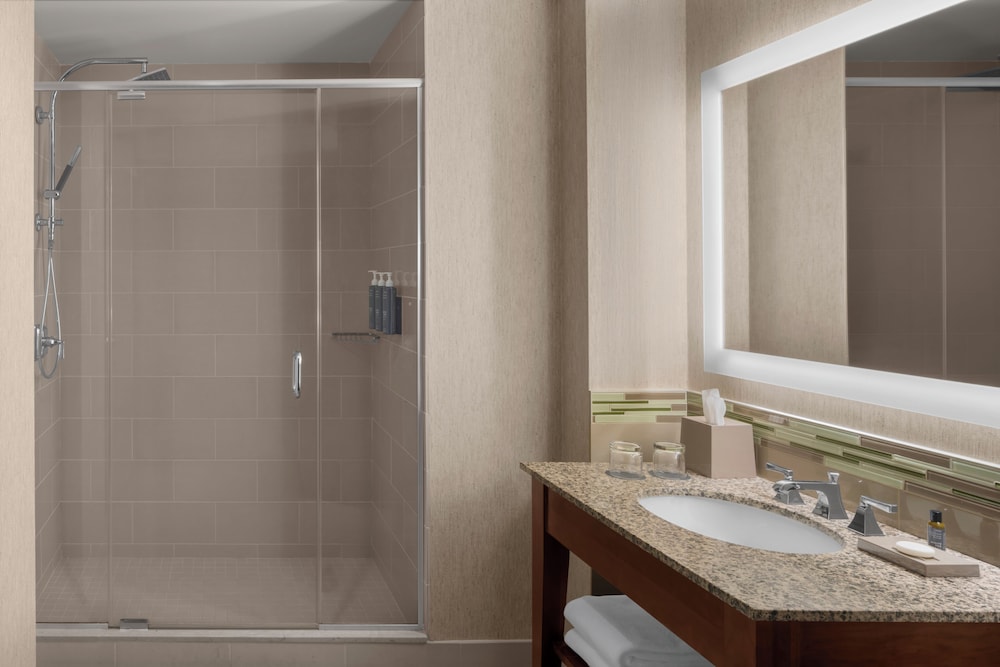 غرفة تقليدية بسرير كينج لذوي الإعاقة، The Westin Minneapolis 5/8