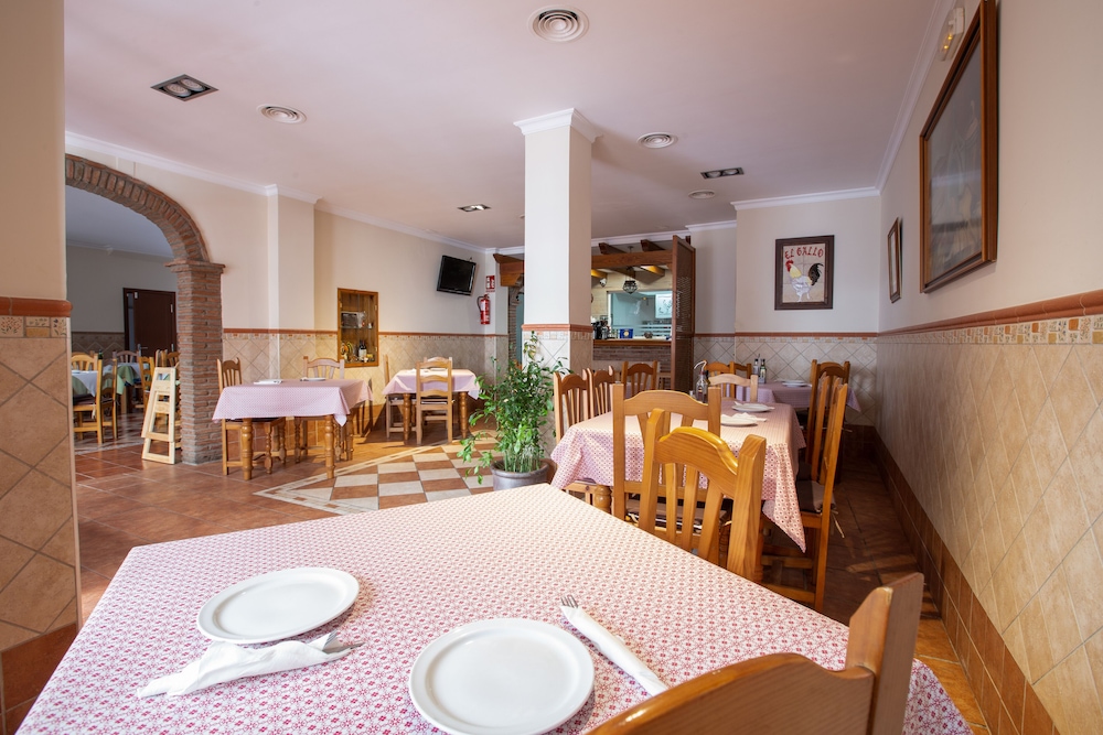 Hostal Apartamentos El Gallo 16/23