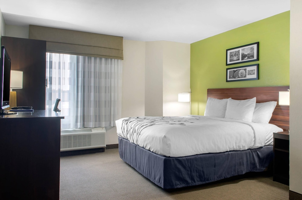 ROOM, KING BED