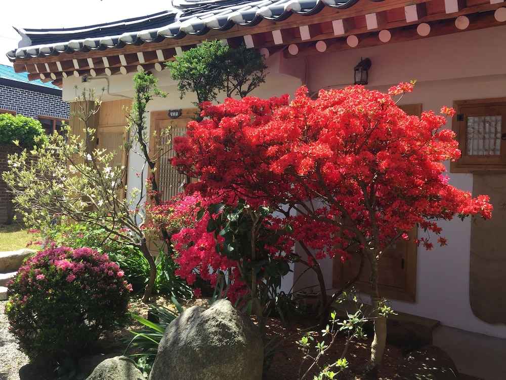 Taejomaru 25/28