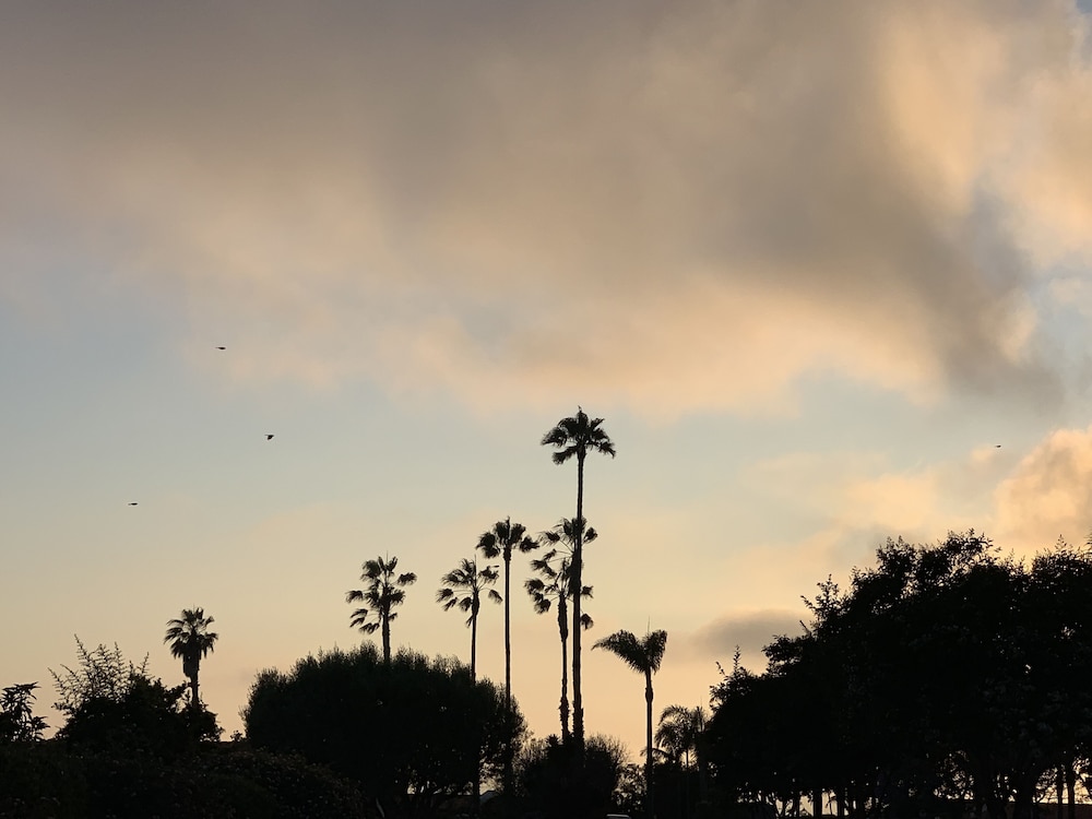 LAX Guest House 33/36