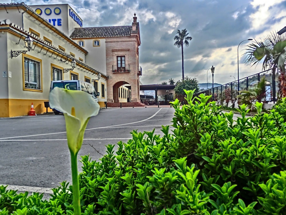 Hotel Lozano 24/24