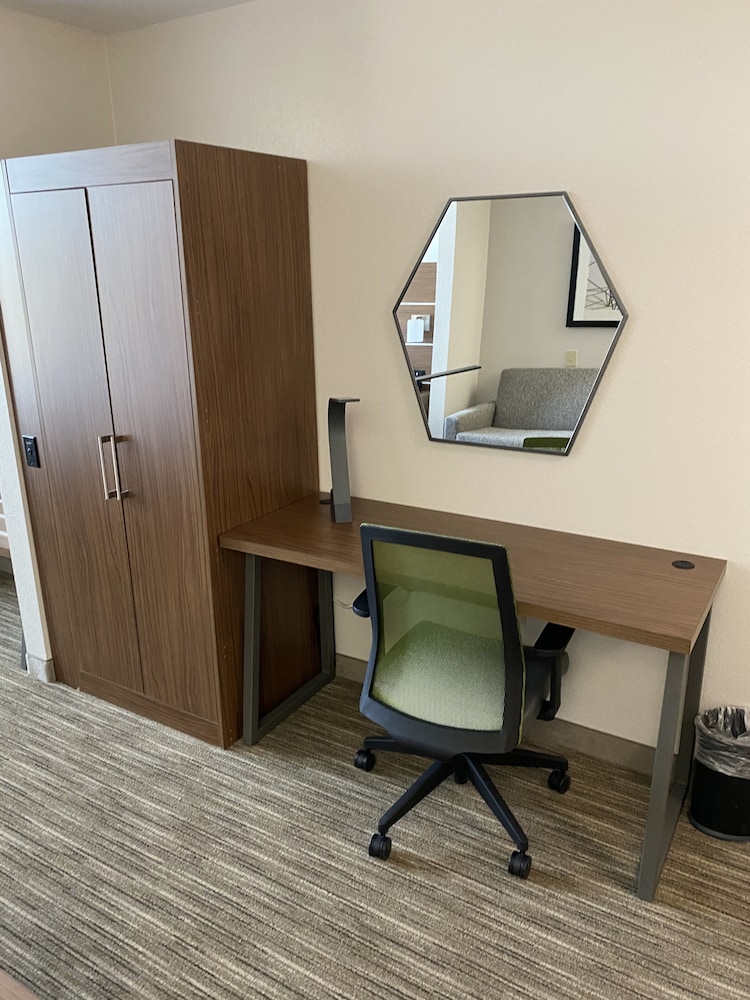 Holiday Inn Express Hotel Suites Auburn University Area 50/53