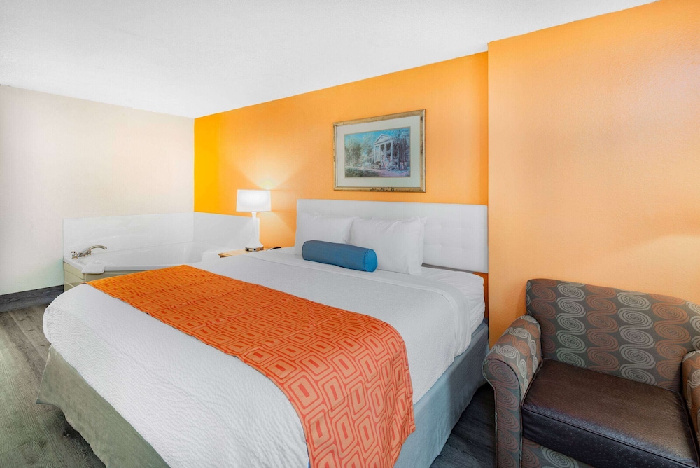 Suite, King Bed