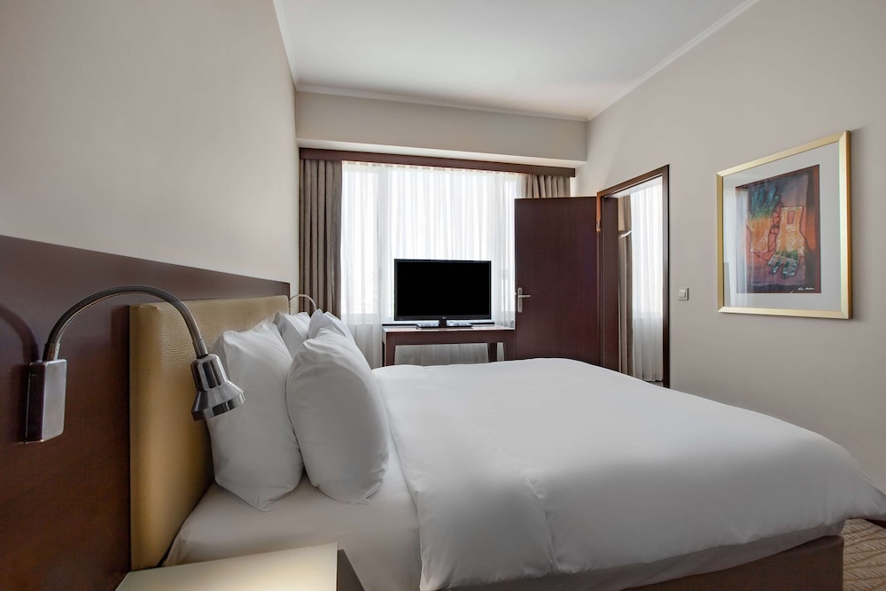 RADISSON BLU HOTEL ANKARA 17/72