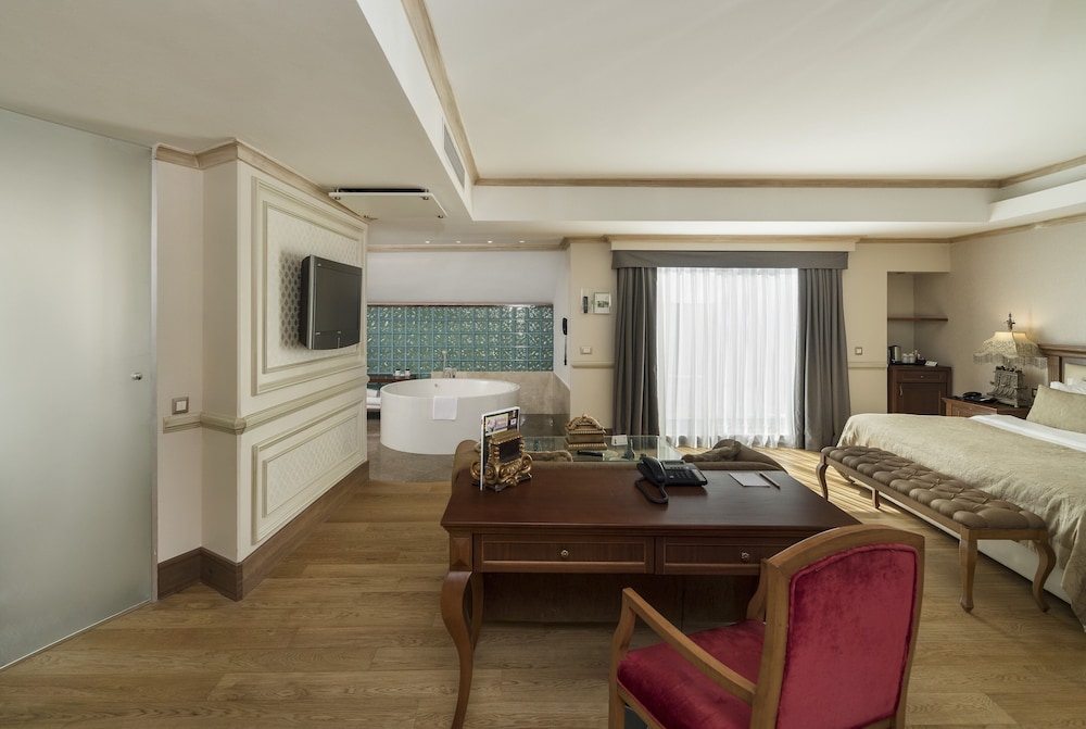 Holiday Inn Istanbul Old City 48/79