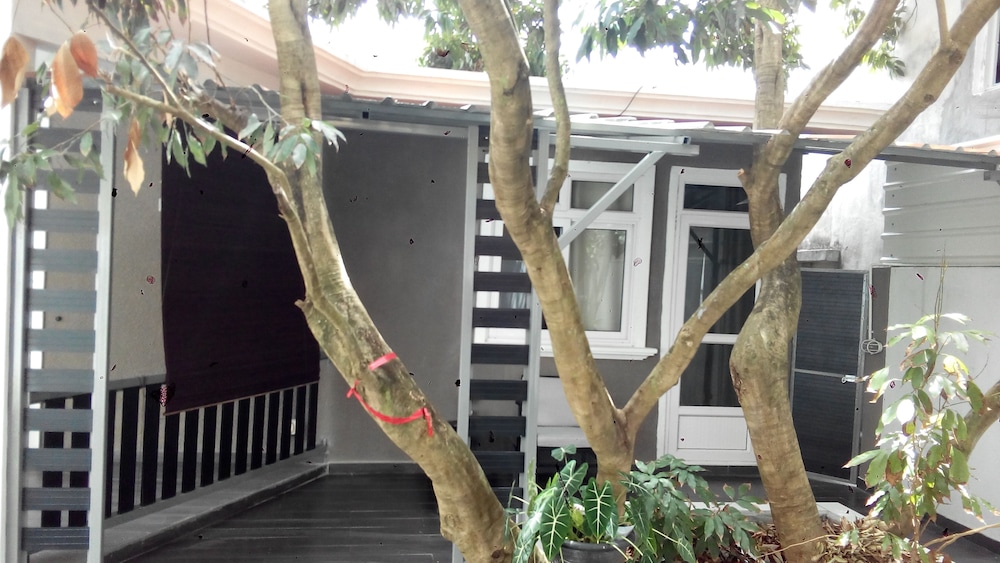 Residence Les Bambous 5/45