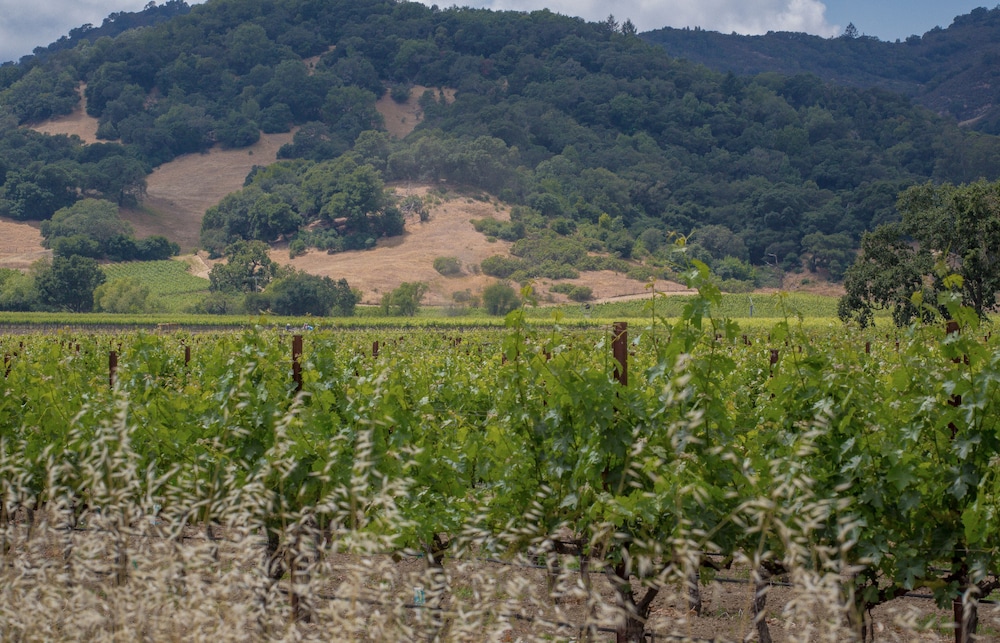 The Setting Inn Napa Valley 46/50