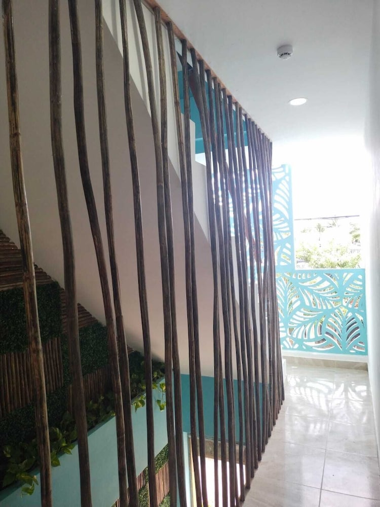 Hotel Avadia Del Mar 写真4