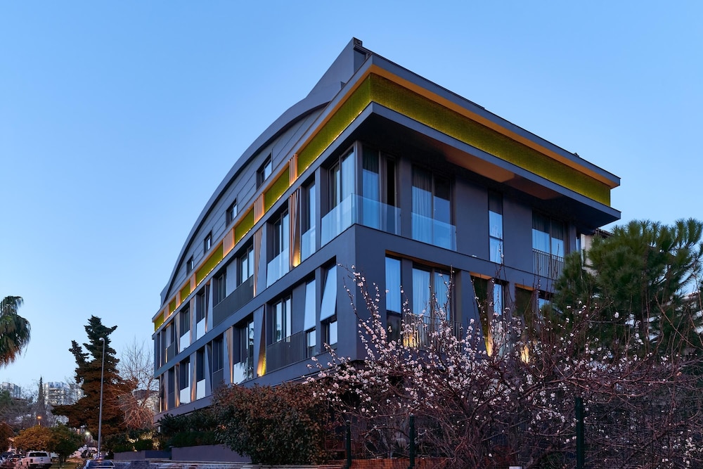 Loft 1502 4/64