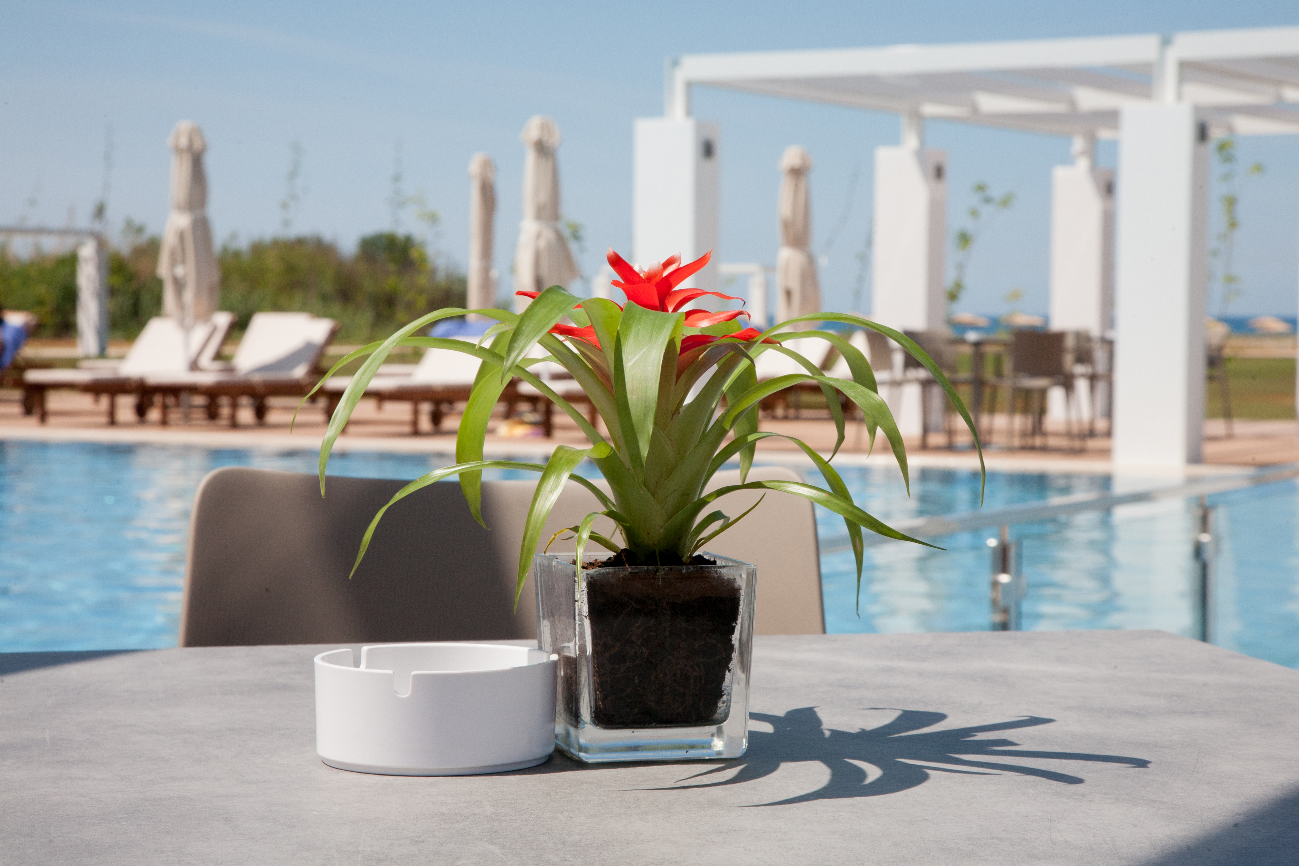 Ilion Beach Hotel 15/36