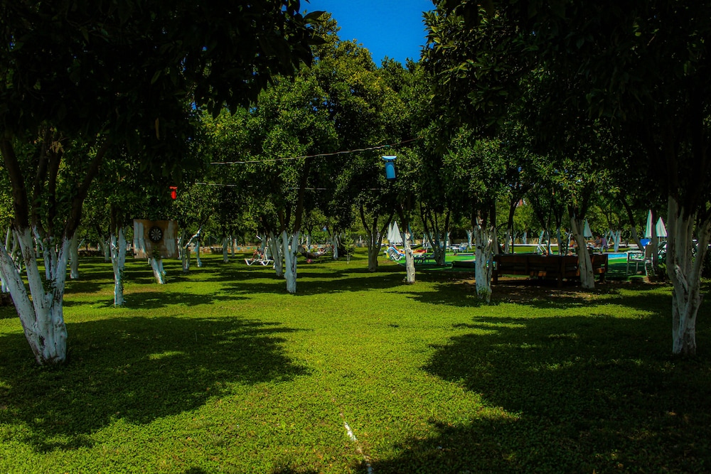 surroundings