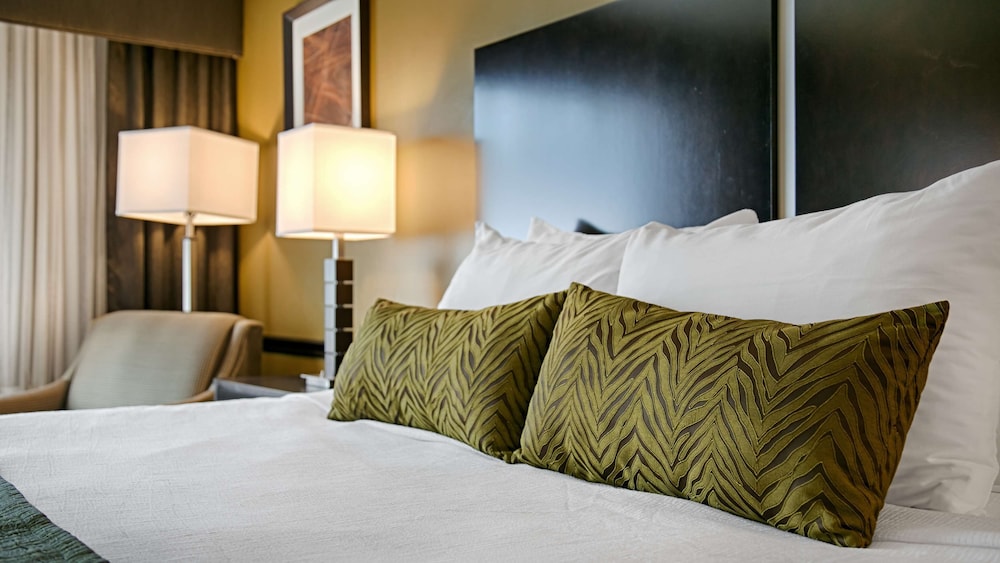 Best Western Canoga Park Motor Inn 16/44