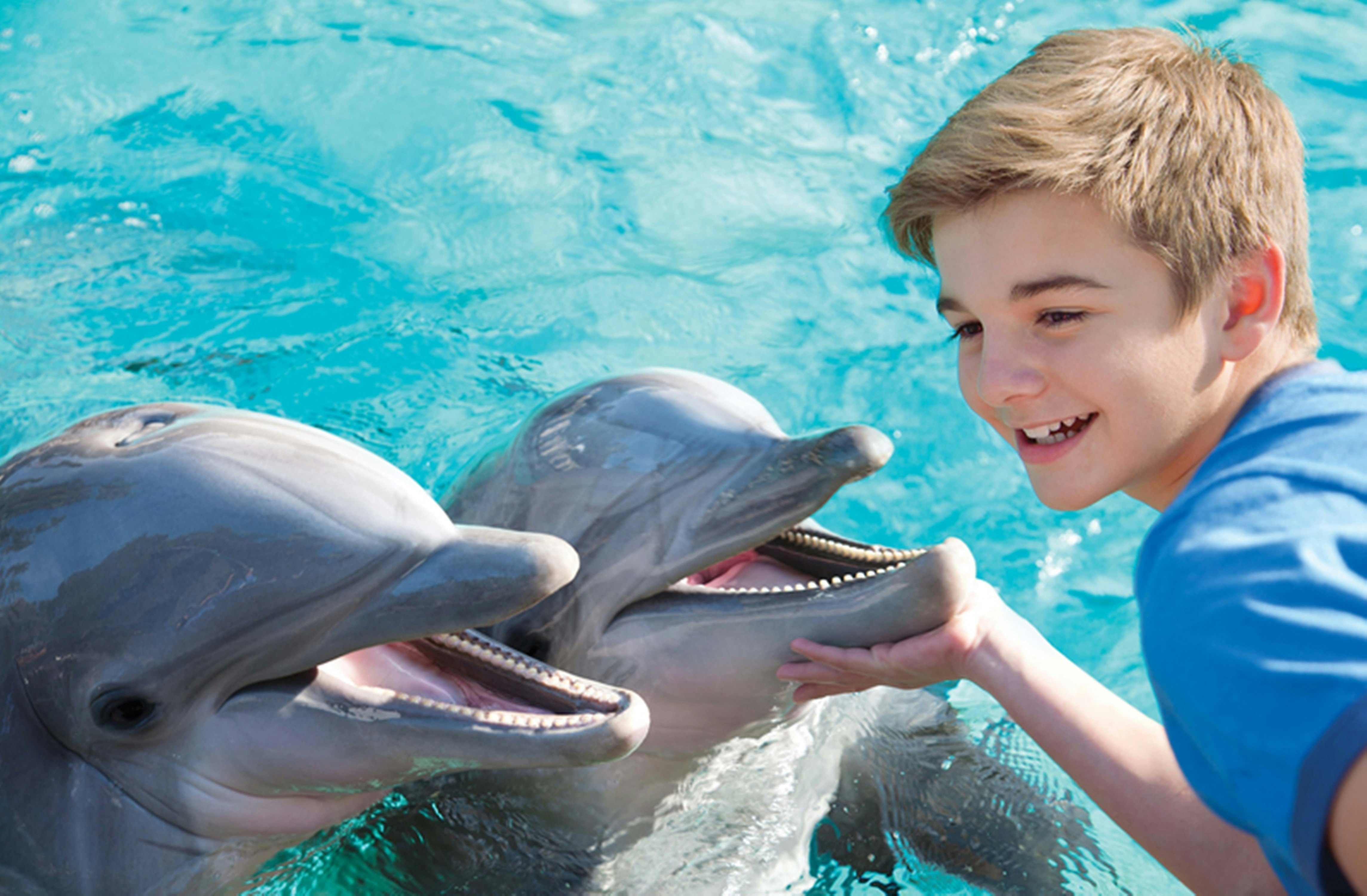Holiday Inn Express San Diego-Sea World Area, an IHG Hotel 71/73