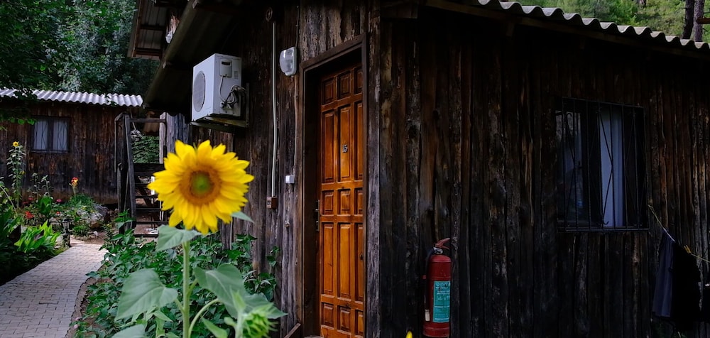 Olympos Mercan Pansiyon 3/50