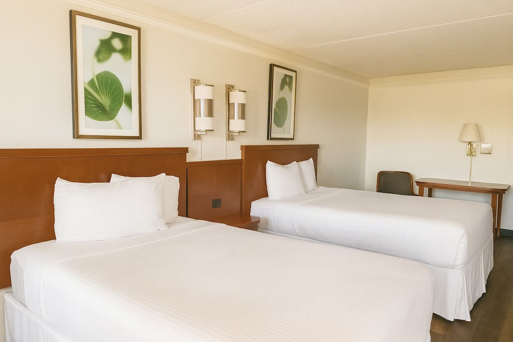 COMFORT, 2 DOUBLE BEDS, SMOKING