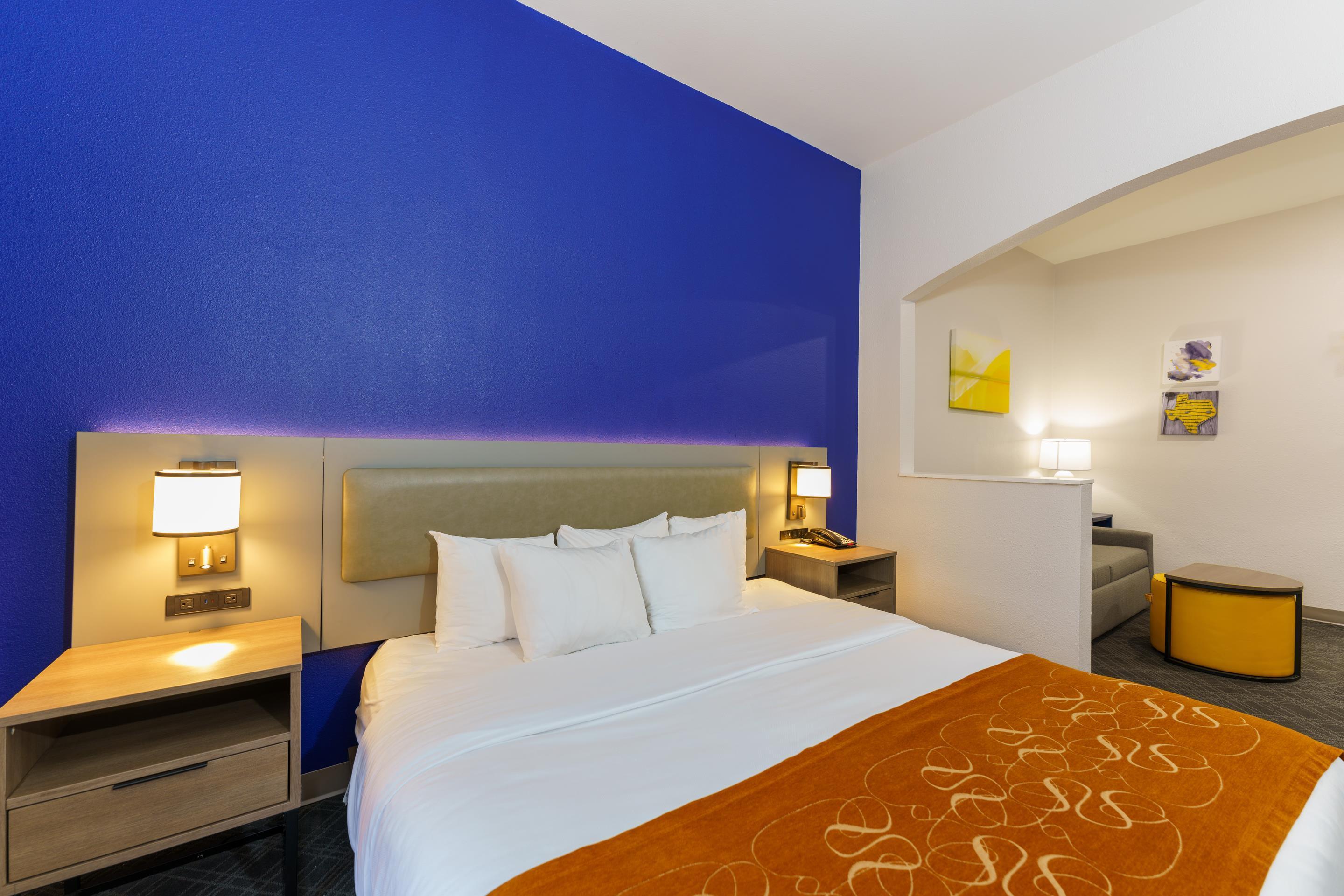 SUITE, KING BED, ACCESSIBLE