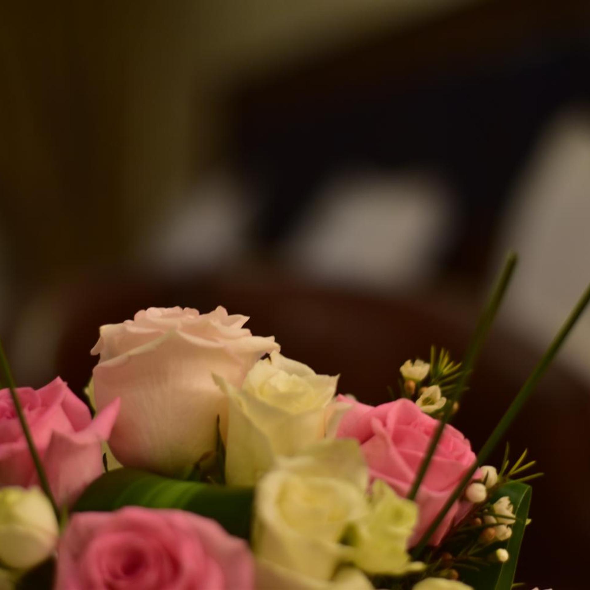 فندق كناري بيتش(Canary Beach Hotel) 43/67