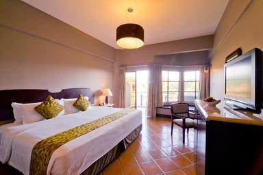 Family, 2 Queen Beds, Green View
