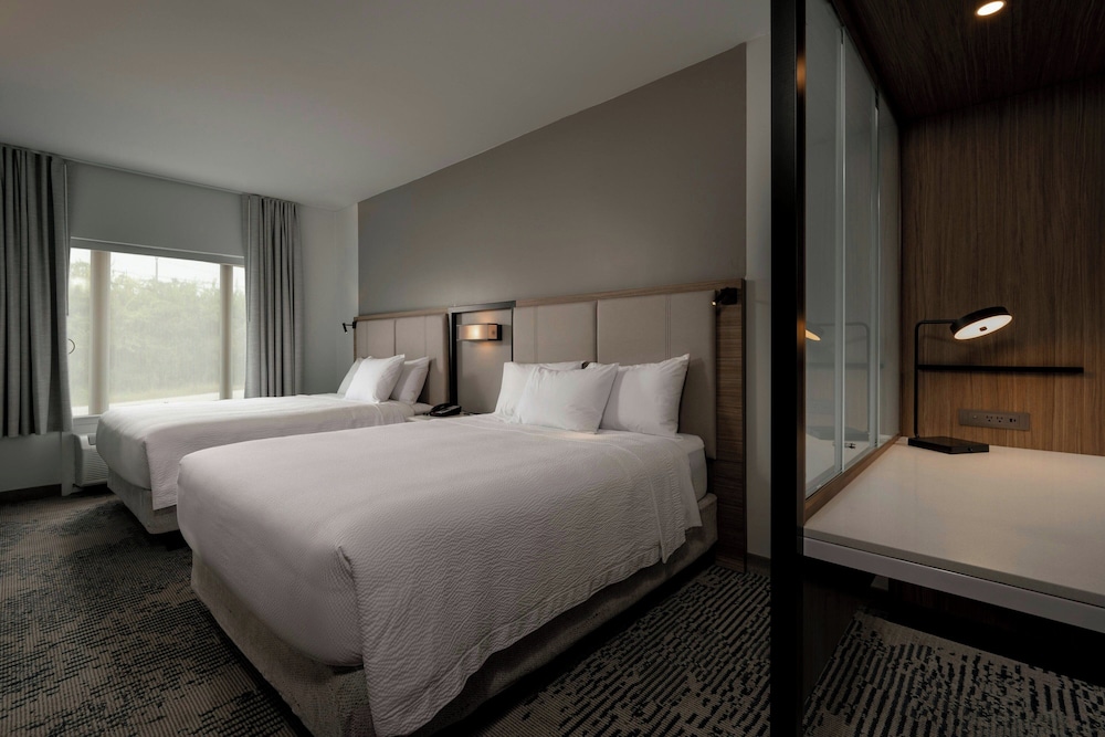 Springhill Suites By Marriott Houston Brookhollow 15/41