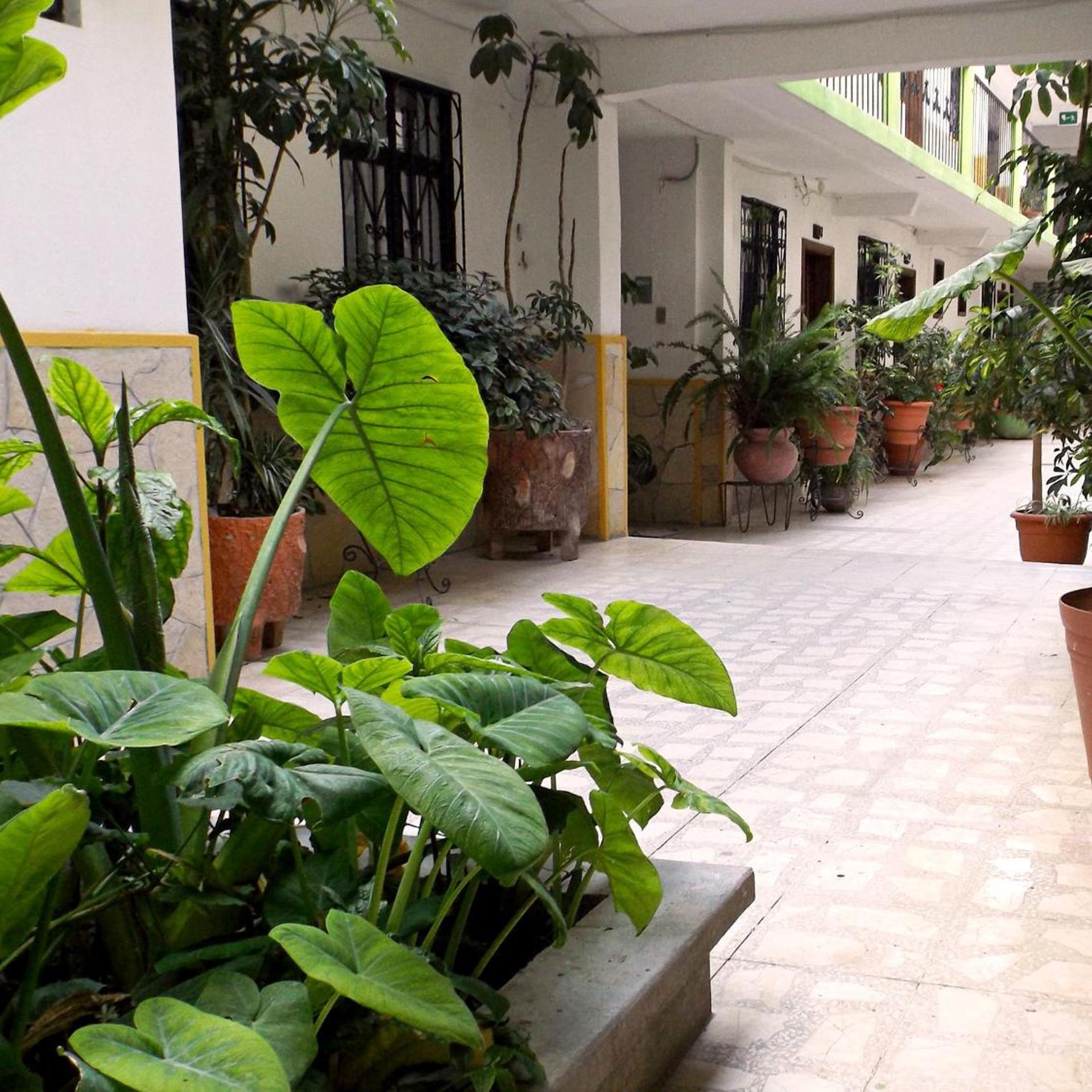 Hotel Posada las Casas 56/61