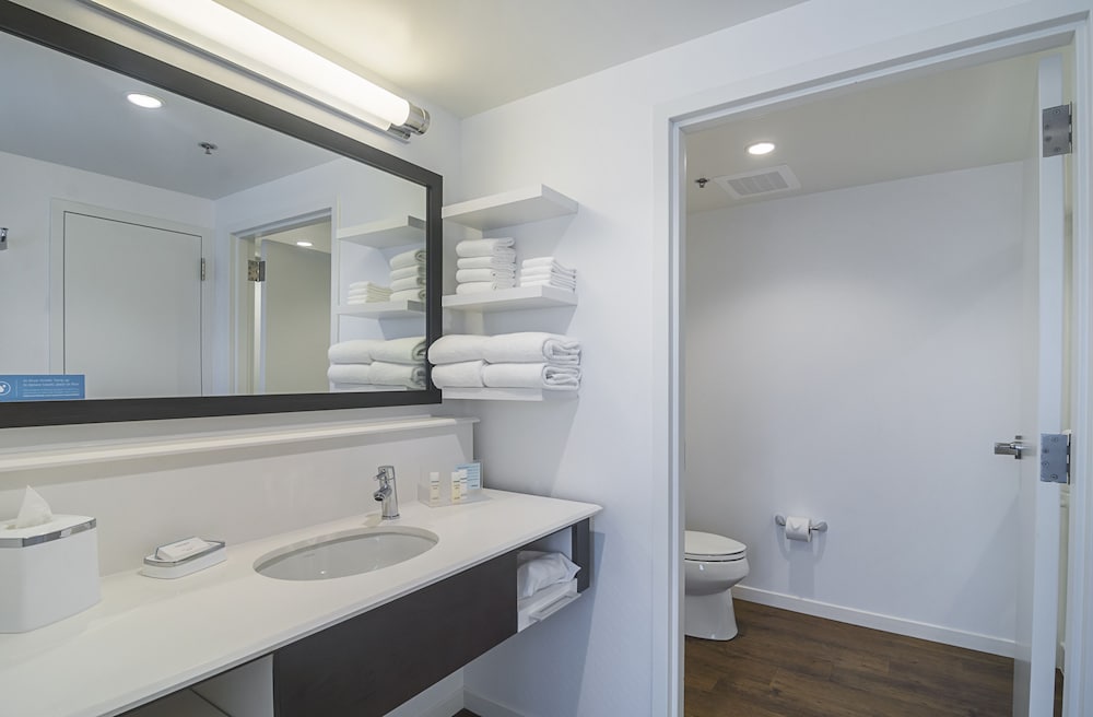Hampton Inn Chicago North/Loyola Station 26/71