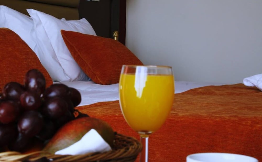 Palace Hotel & Spa Termas Do Bicanho 33/60