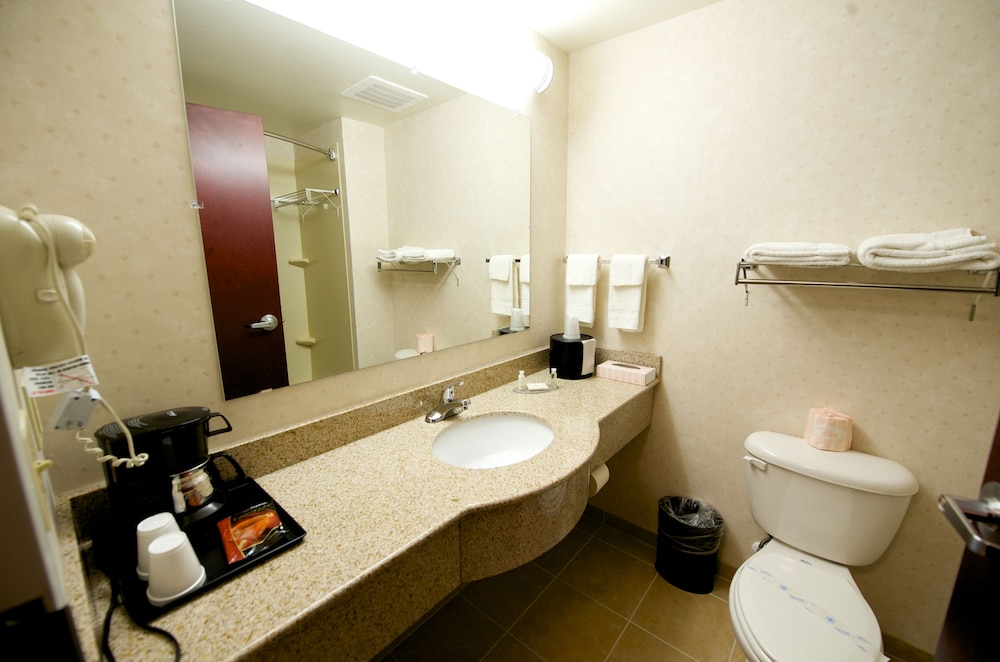 Executive Inn And Suites 14/43