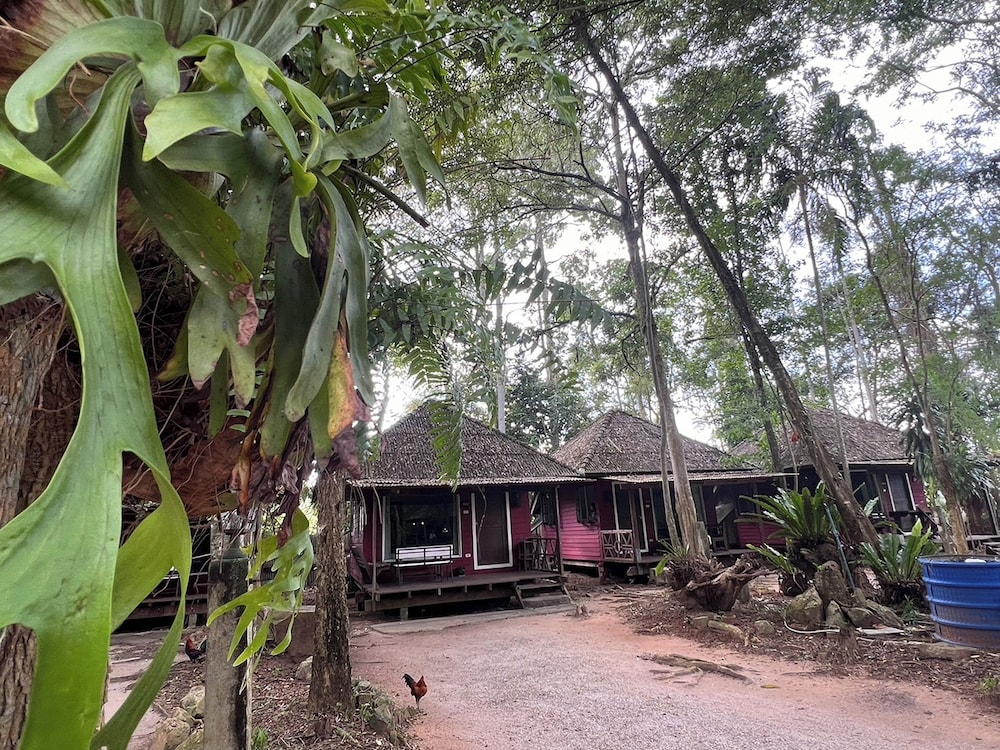 Pang Mai Resort 38/50