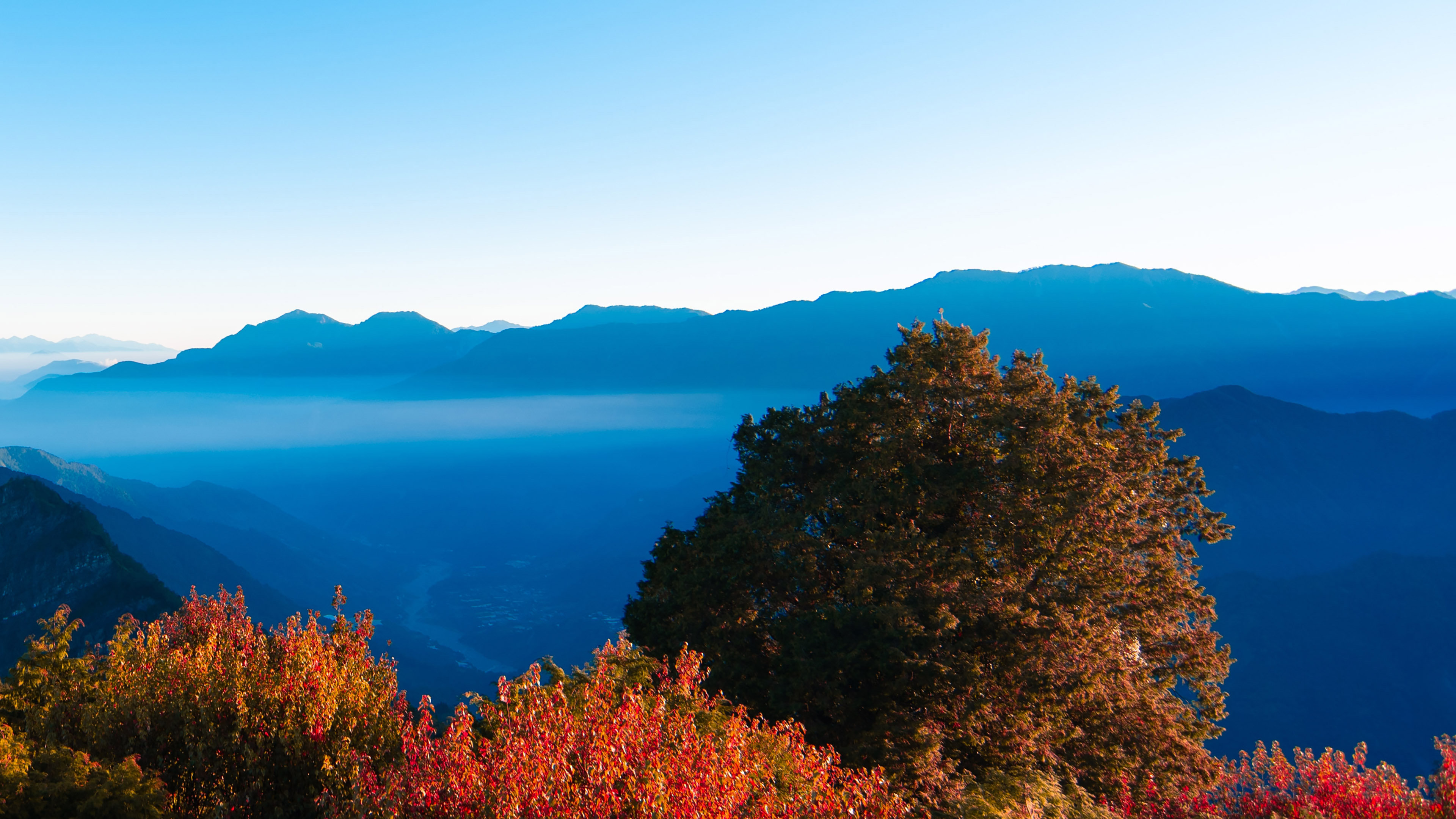 Hotel Indigo Alishan 68/68