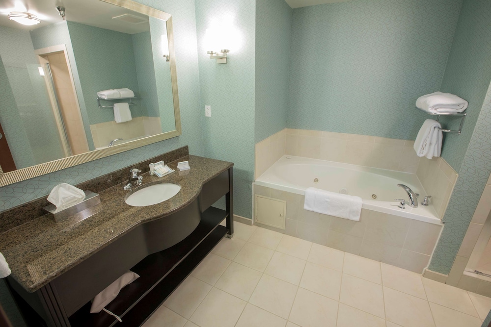 Hilton Garden Inn Atlanta South-Mcdonough 8/44