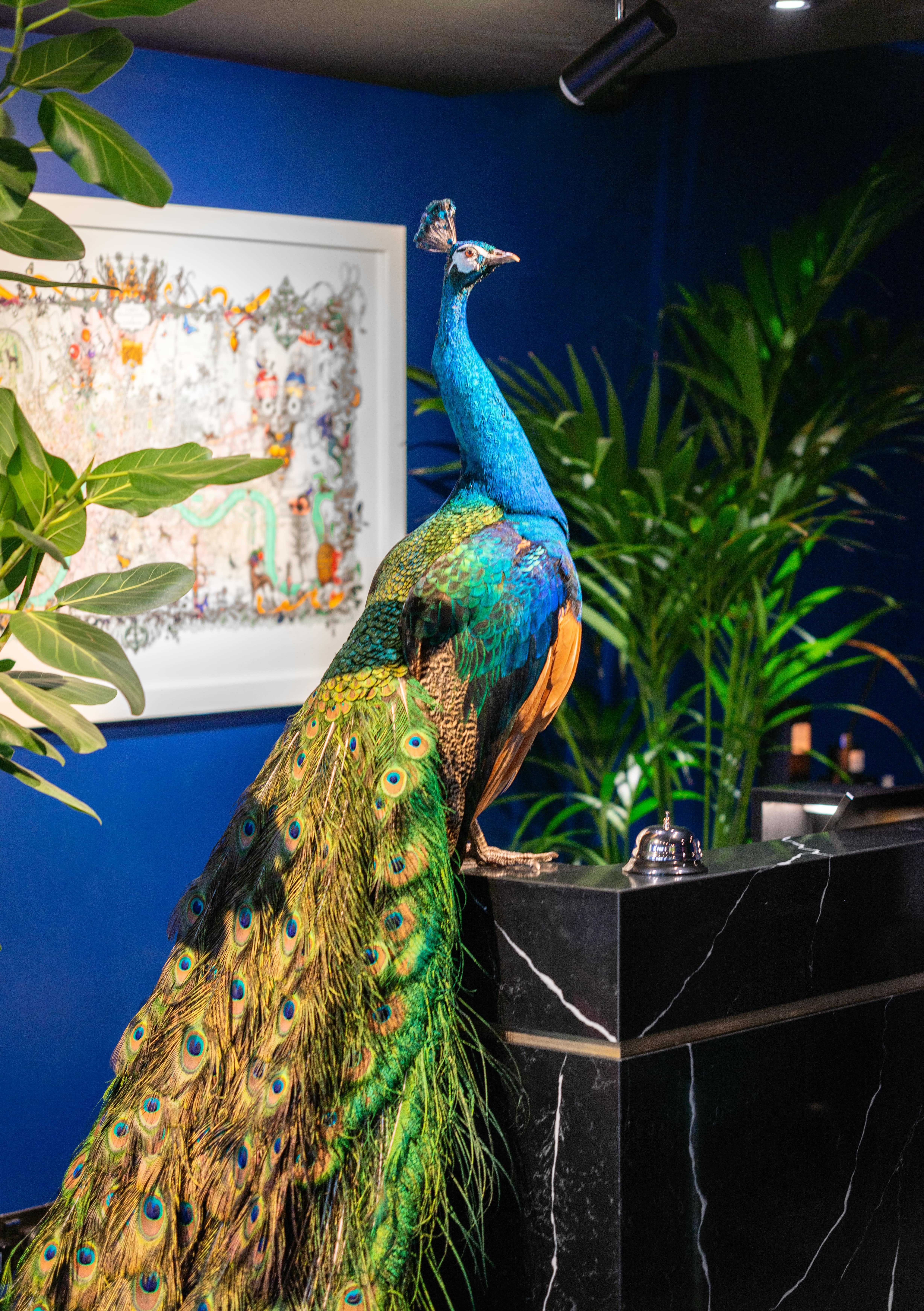 Seraphine Kensington Gardens 7/50