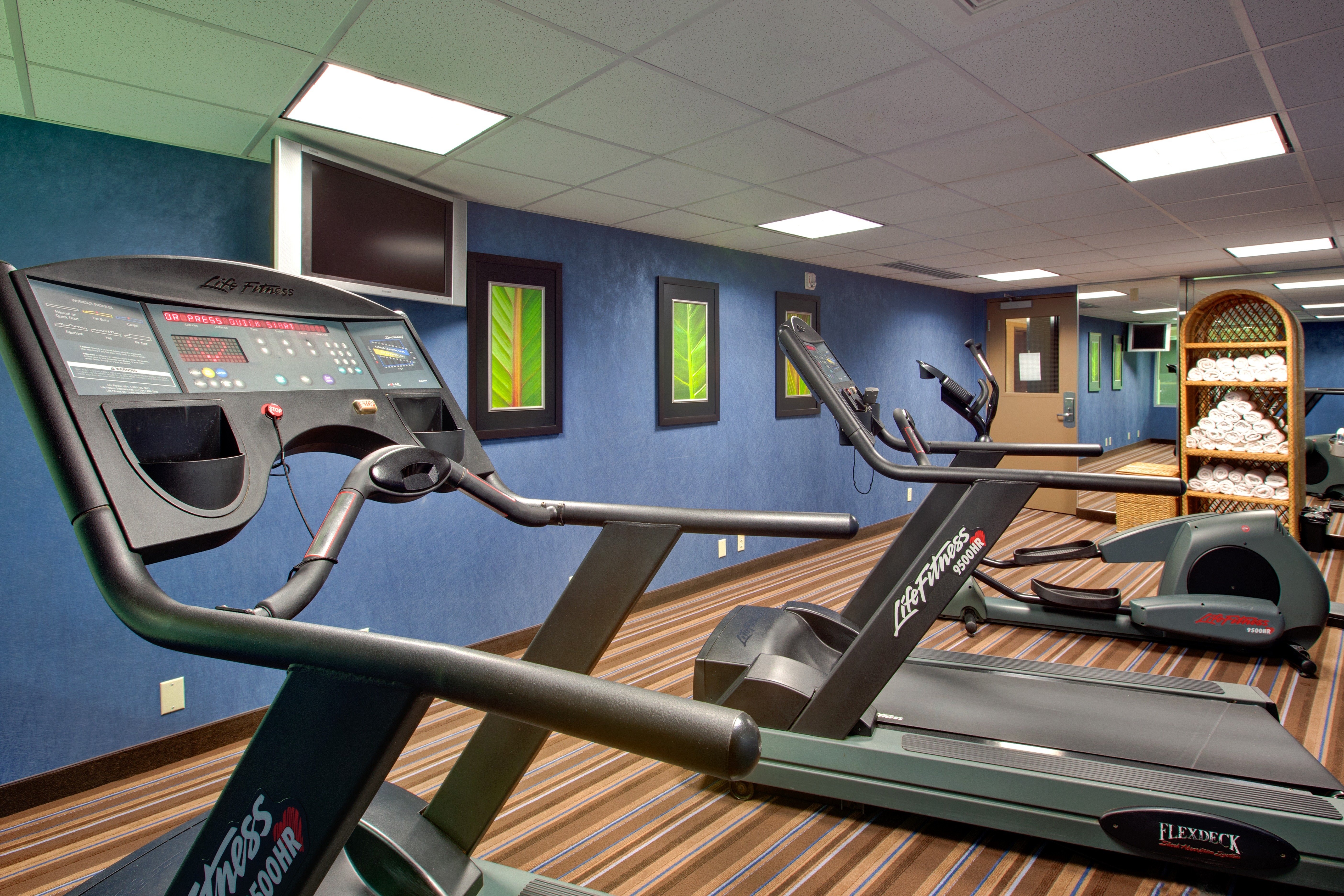 Holiday Inn Express Suites Chatham South 44/75