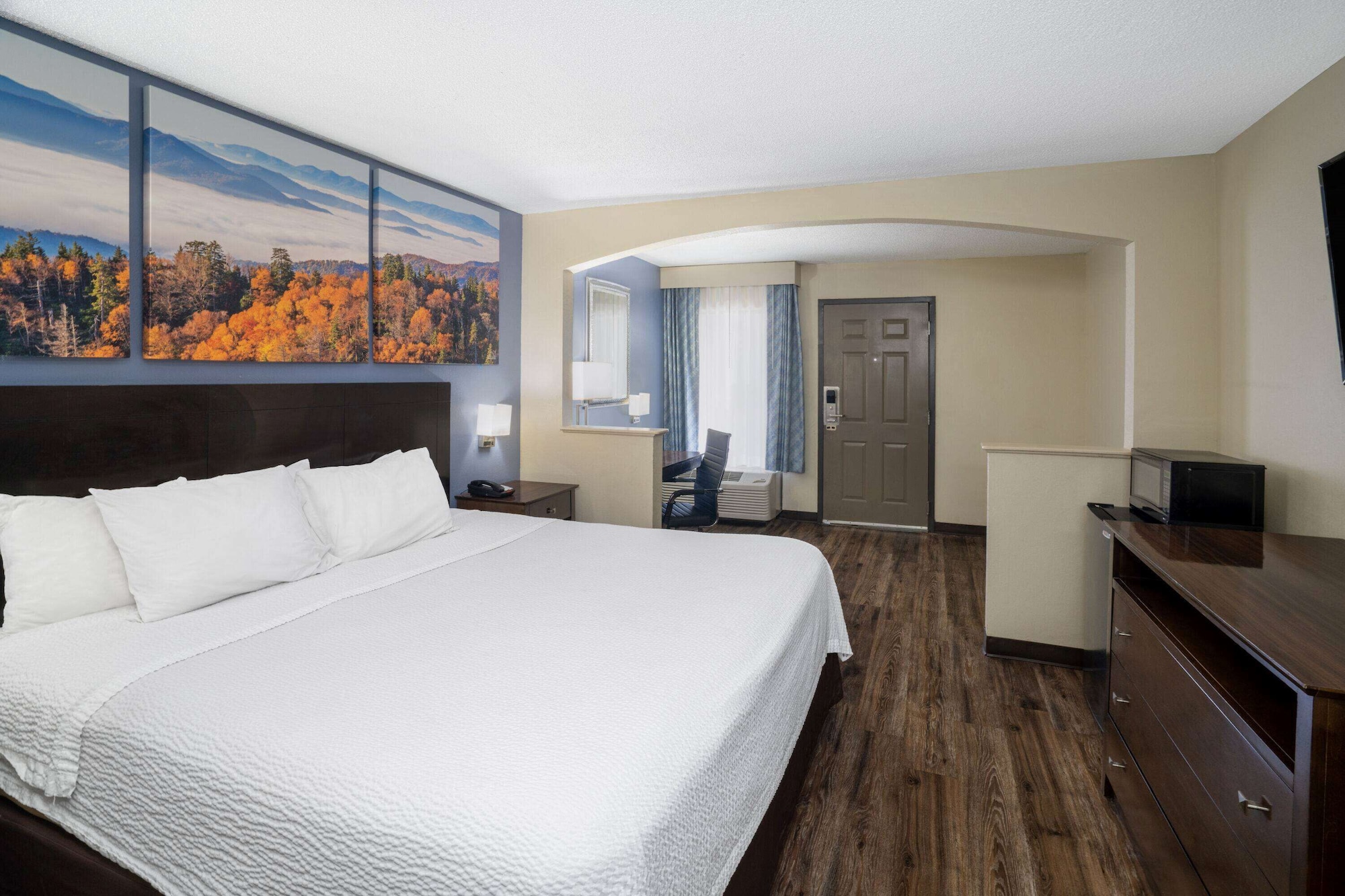 Room, King Bed