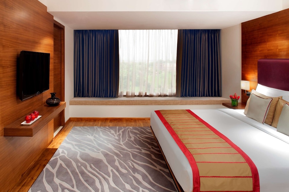Radisson Blu Plaza Hotel Hyderabad Banjara Hills 19/73