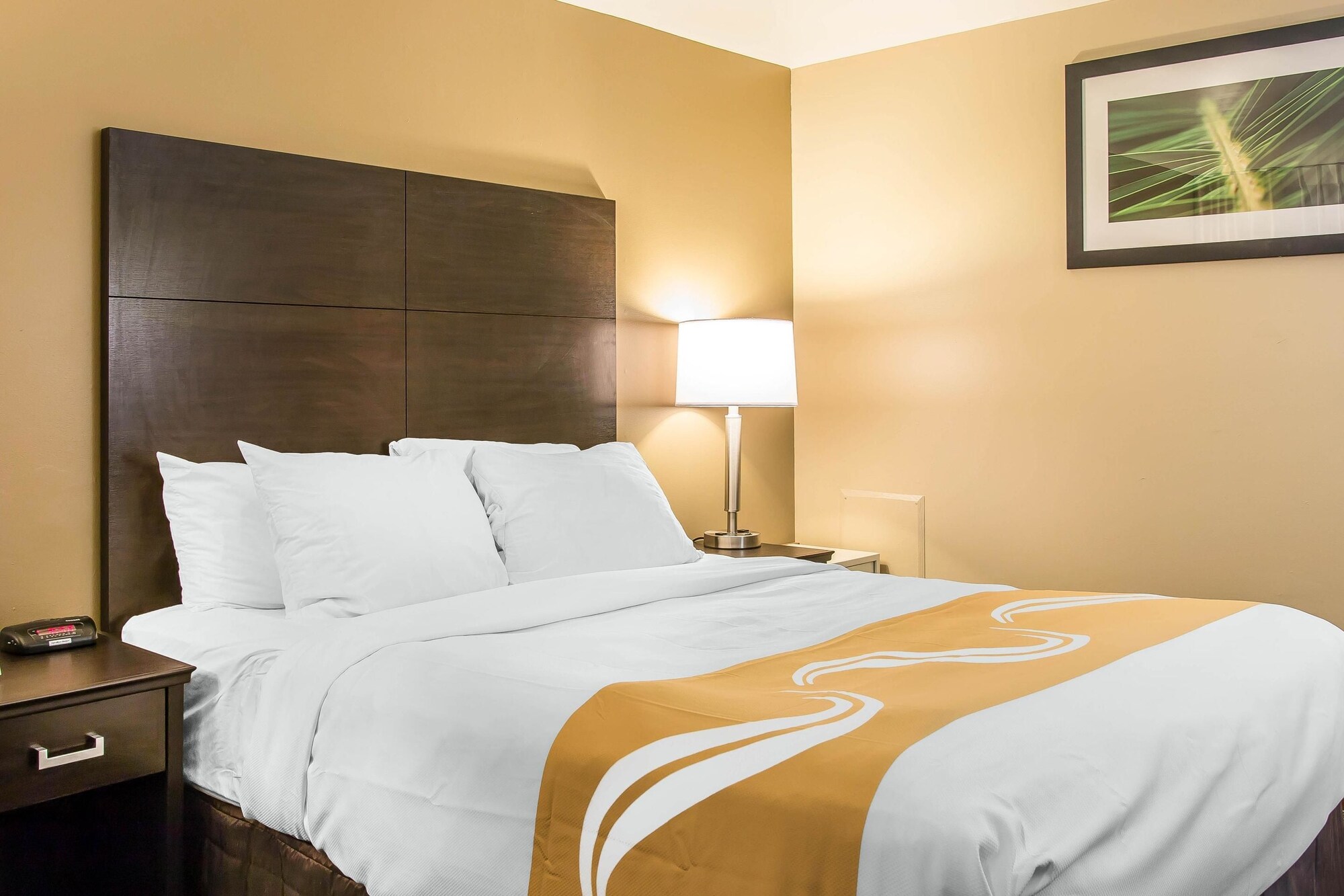 غرفة بسرير كوين لذوي الإعاقة، Quality Inn & Suites Houghton Downtown 8/10