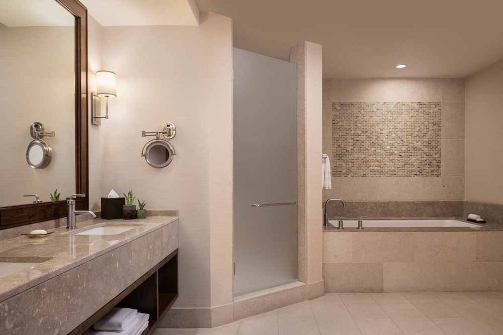 The Ritz Carlton Dove Mountain 10/51
