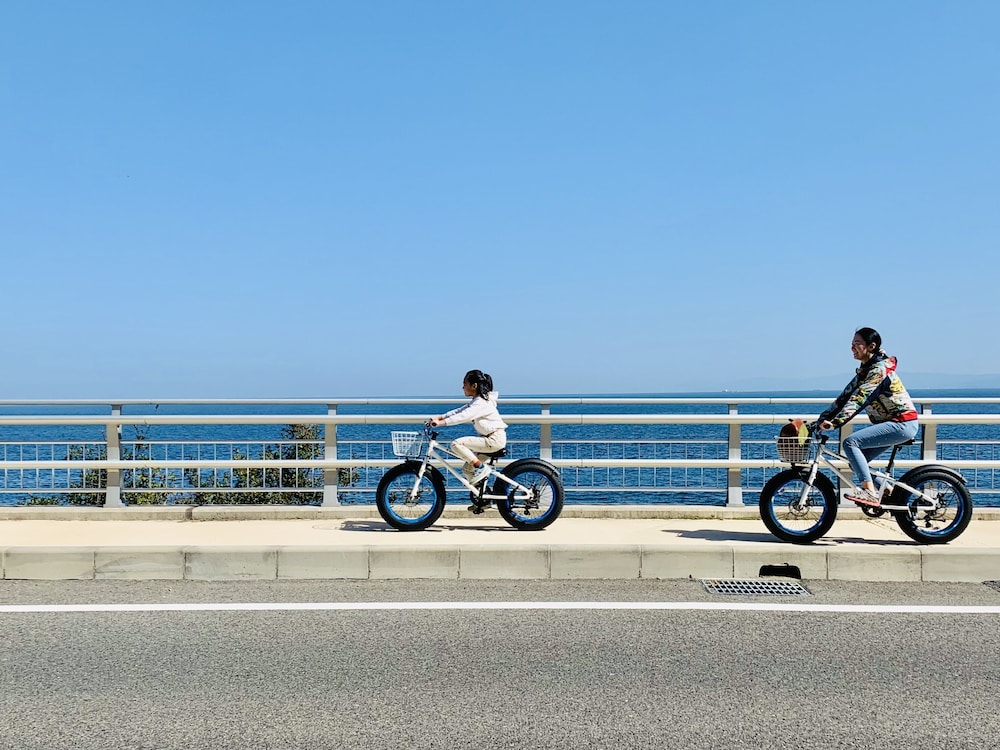 Awajishima Kanko Hotel 3/66