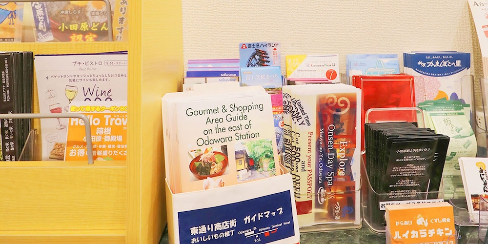 Odawara Terminal Hotel 33/58