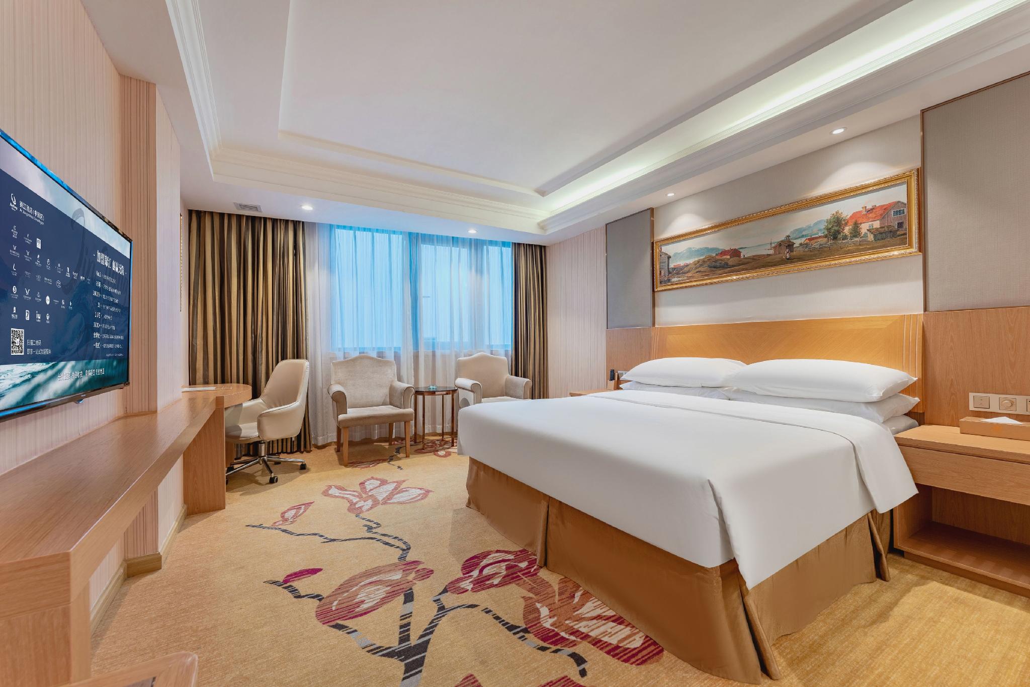 Vienna Hotel (Guangzhou Baiyun Airport Huadu Avenue) 36/58