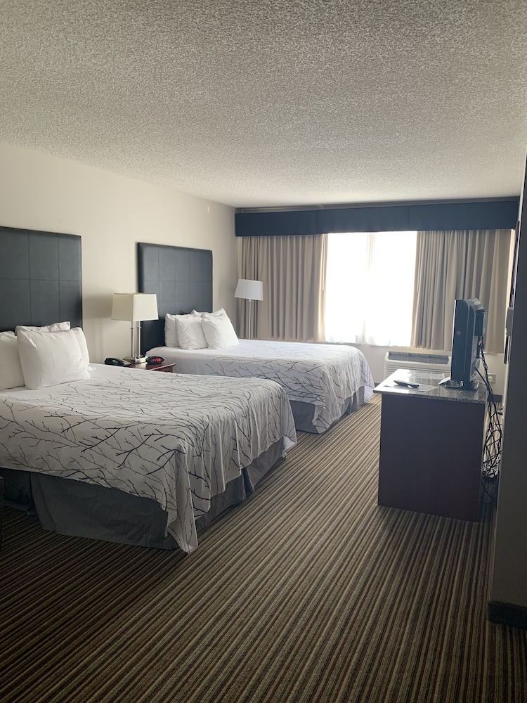 Best Western Park Oasis Inn 13/34
