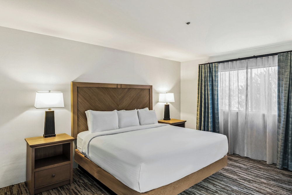 1 BEDROOM, CONDO
