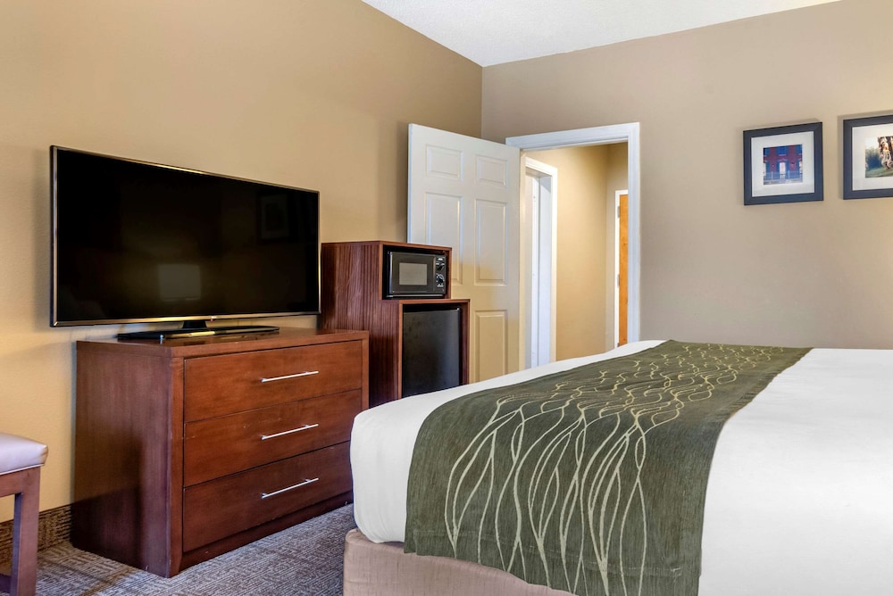 Comfort Inn Amite City 11/68