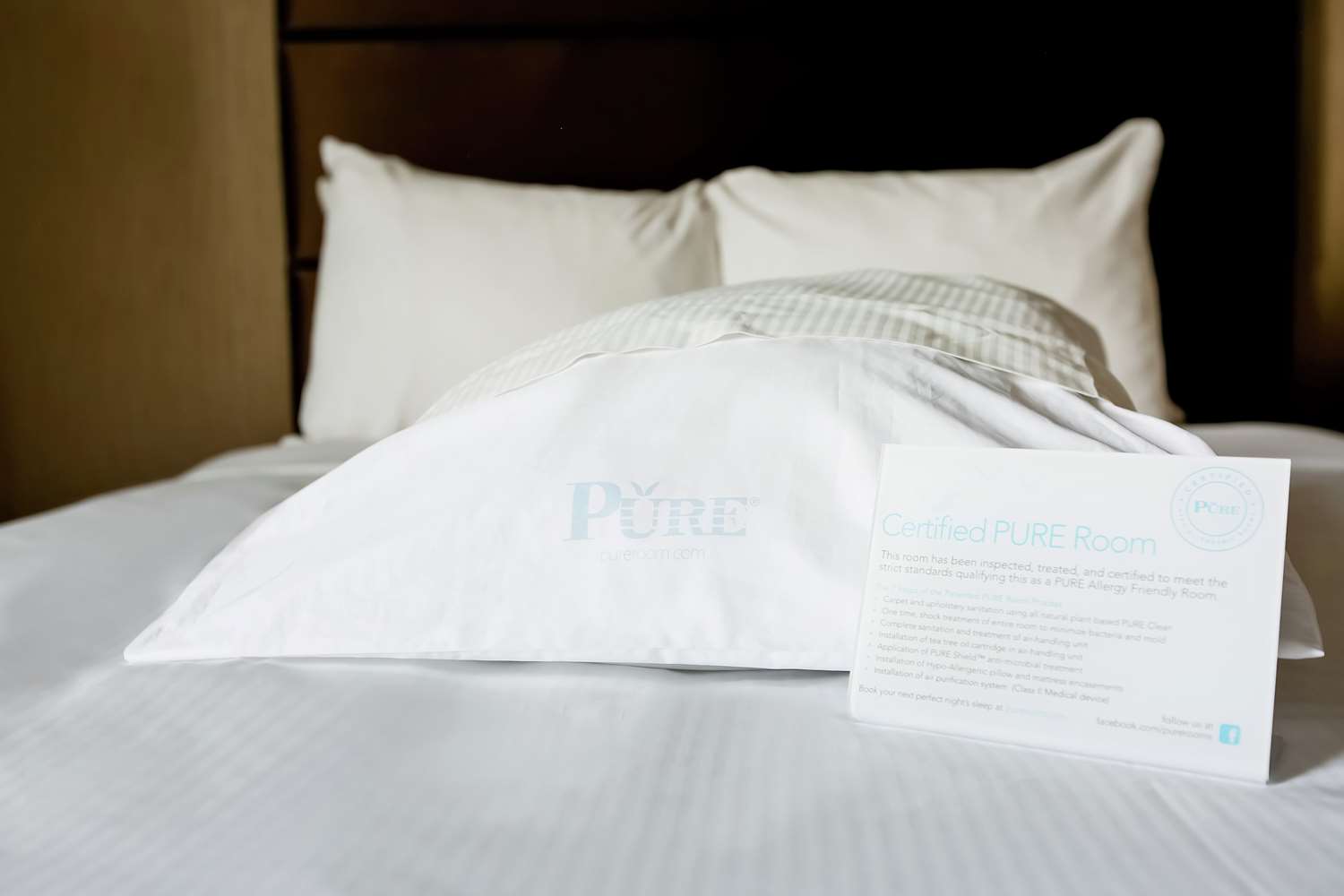 Room, King Bed, Allergy Friendly