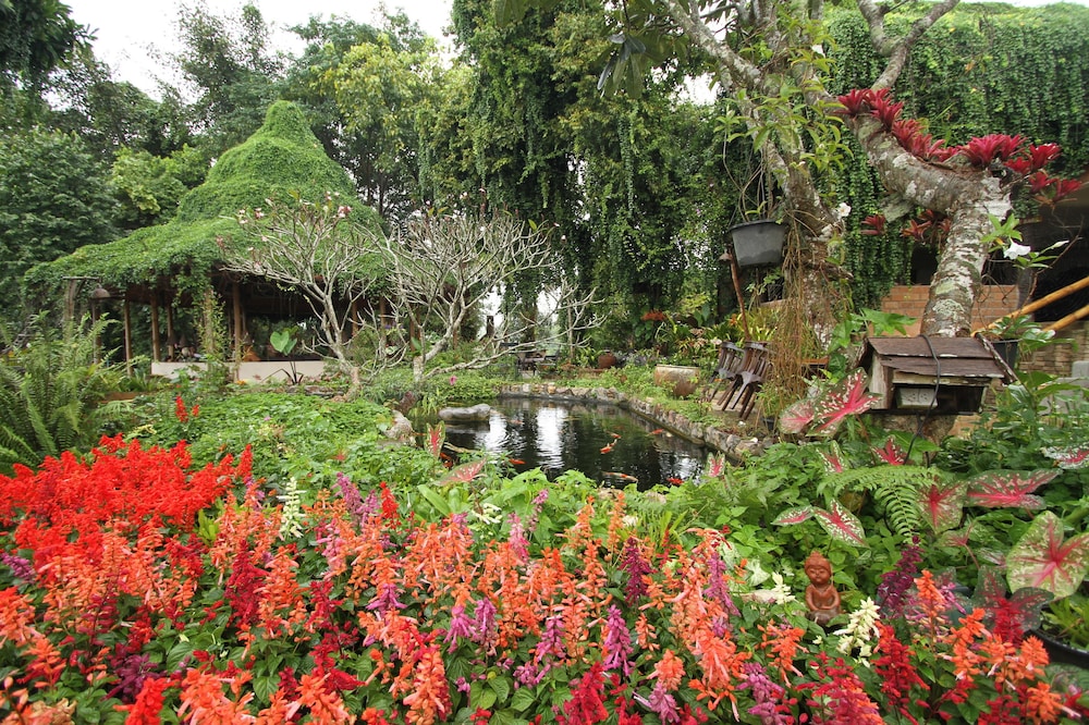 Phu Chaisai Mountain Resort 40/50