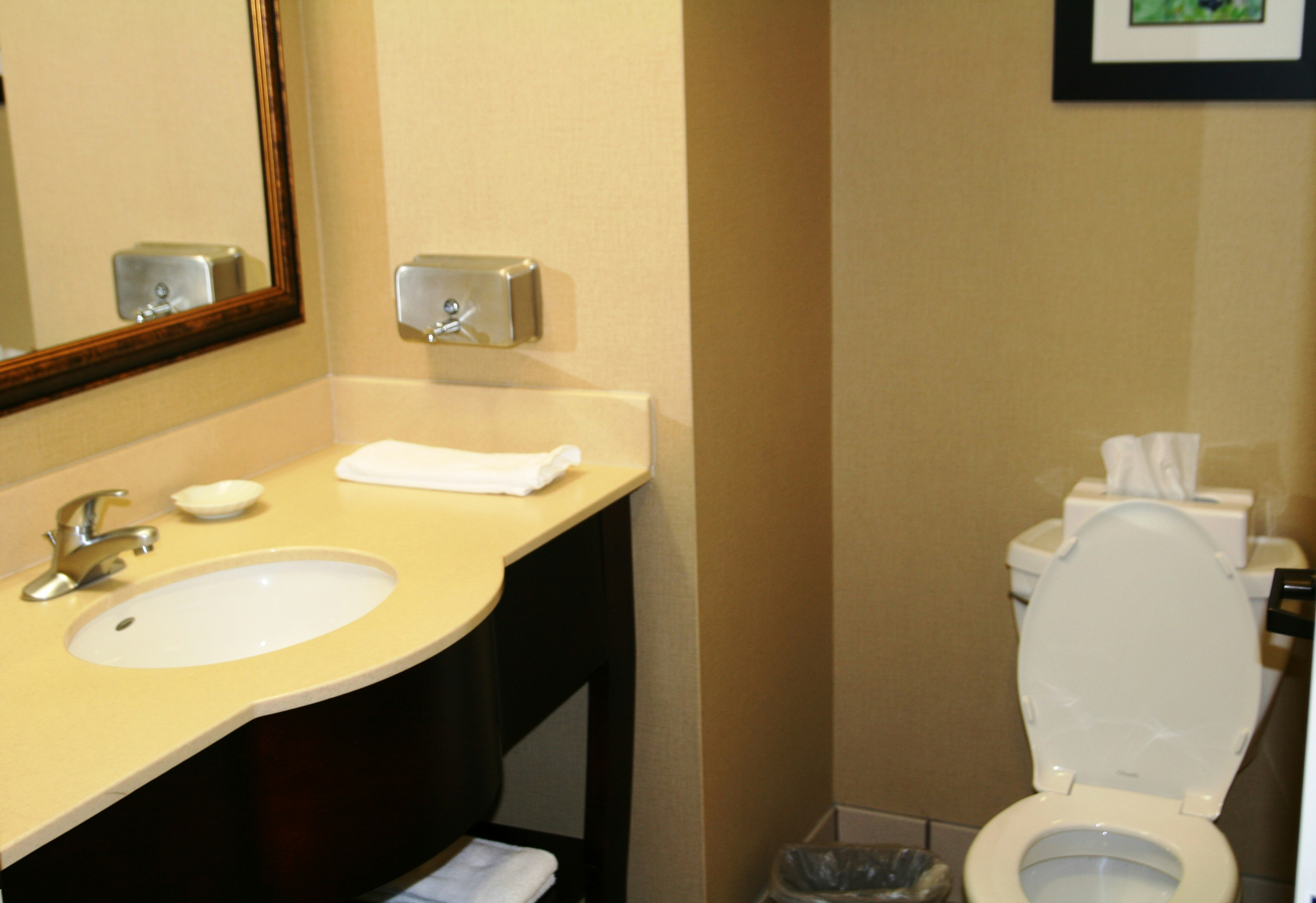 Hampton Inn Mount Airy 51/52